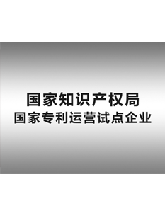 2-0-1-6年，-精英知識產(chǎn)權(quán)運(yùn)營服務(wù)公司被國家知識產(chǎn)權(quán)局確定為“-國家專利運(yùn)營試點(diǎn)企業(yè)”；.png