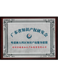 2020年，粵港澳知識產權服務聯(lián)盟；.png
